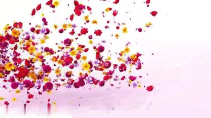 ae videohive flowers logo reveal preview 1