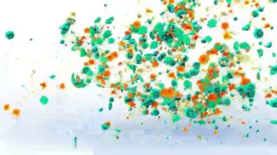 ae videohive flowers logo reveal preview 2