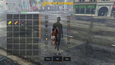 inventory hud v25 standalone preview 2