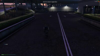 nopixel damage walk preview 1