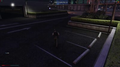 nopixel damage walk preview 2