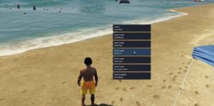 beach volleyball system v1 standalone